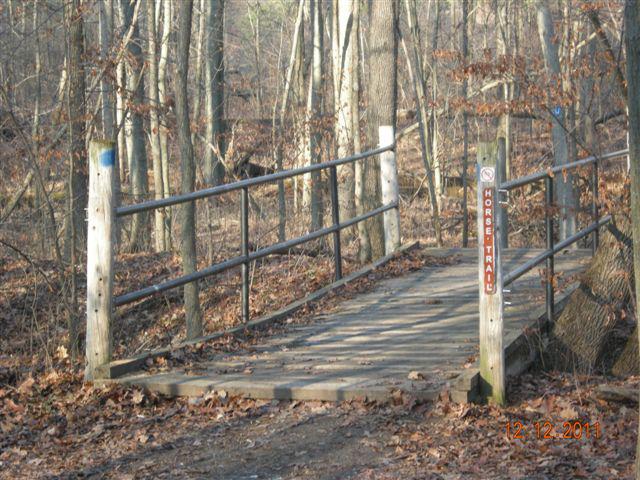 Wooden bridge in the woods on the East Loop Trail