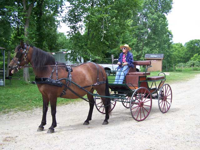 Mary Wrigley and her buggy
