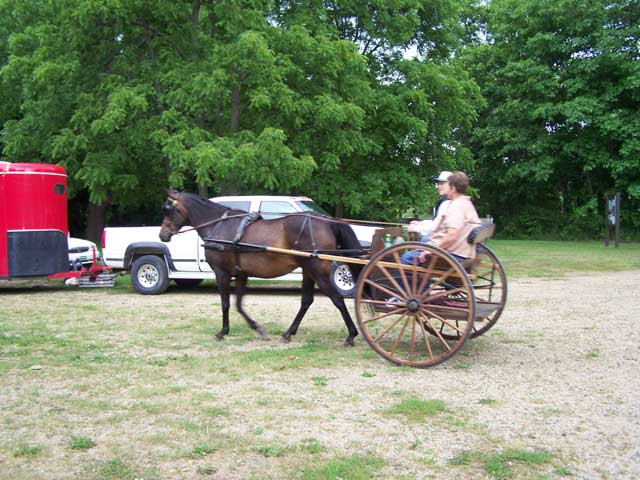 horse and cart